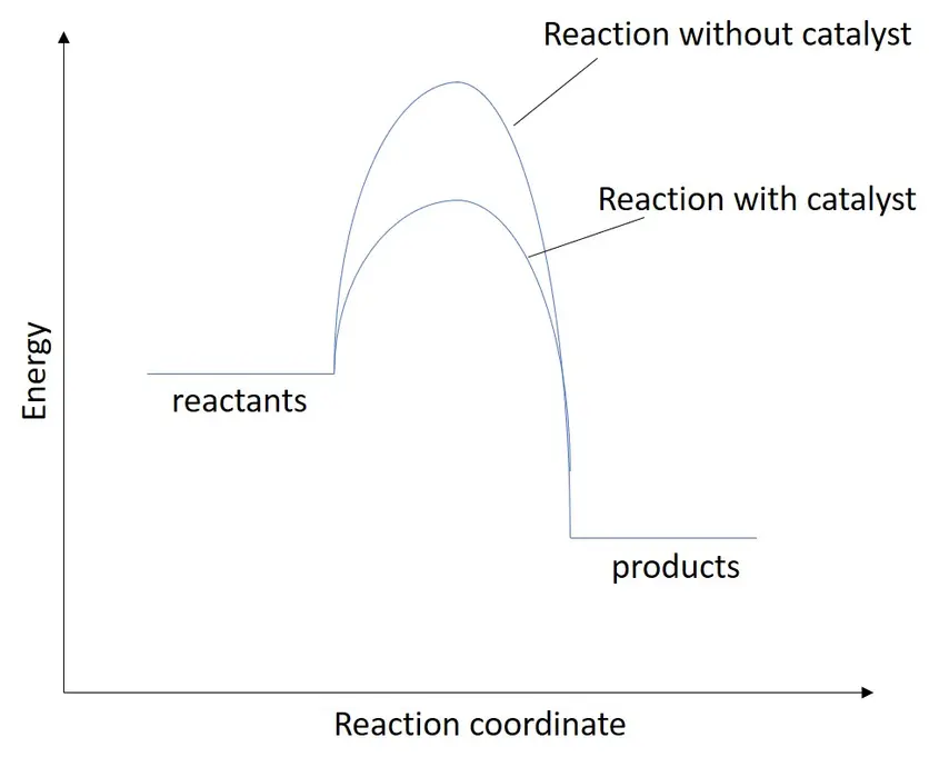 A reaction diagram showing a large activation energy when there is no catalyst, and a smaller one for when there is a catalyst.