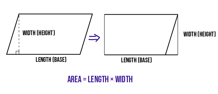 A parallelogram with its base and height labeled.