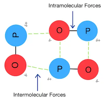 Image showing the intramolecular forces between oxygen and phosphorus (the bond between them) and the intermolecular forces between the molecules 