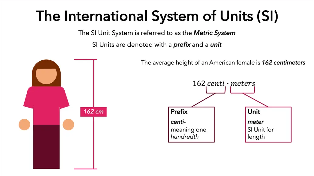 The SI System in one picture using the height of an average american female