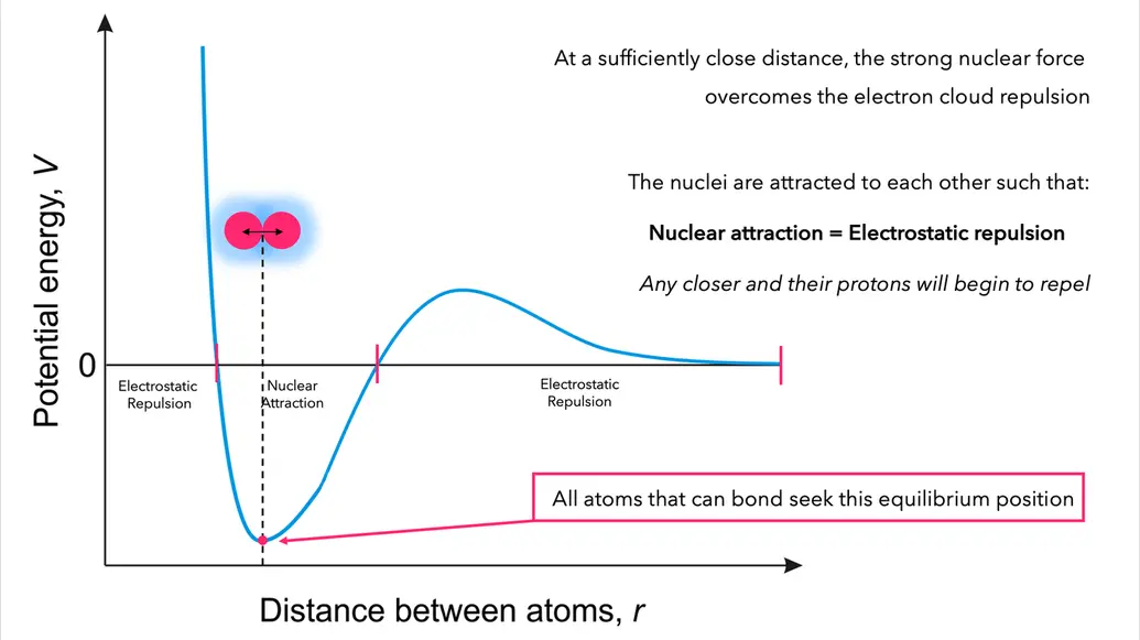 Atoms are bonded; strong nuclear force equals electromagnetic force; no net energy indicating equilibrium