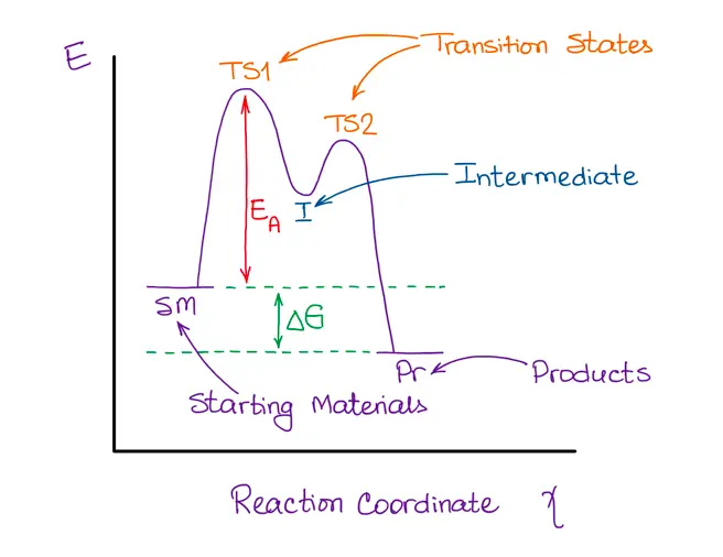 Image shows a reaction coordinate diagram with two transition states and an intermediate