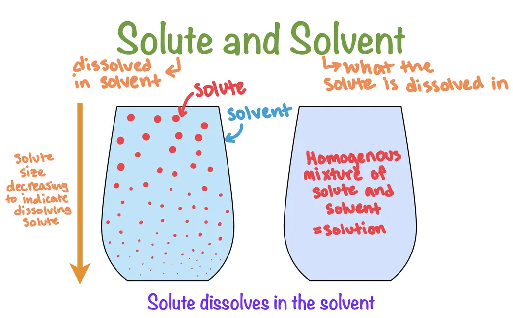 Solute and Solvent
The solute is dissolved in the solvent.
The solvent is what the solute is dissolved in.
Two glass filled with liquid are drawn, the liquid indicated as the solvent. There are red dots of decreasing size labeled as the solute. An arrow next to the glass is pointing downward, labeled that solute size is decreasing to indicate dissolving solute.
The glass next to the previous one is labeled a homogenous mixture of solute and solvent = solution. This glass has a slightly darker color to indicate that the solute has completely dissolved.
Solute dissolves in the solvent.