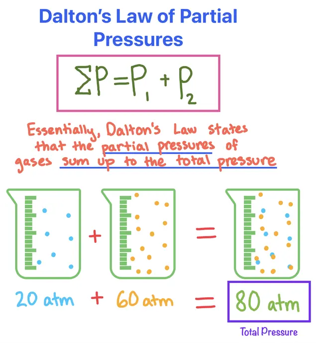 Dalton's Law of Partial Pressures

image of summation of P (total pressure) equals pressure 1 plus pressure 2.

Essentially, Dalton's Law states that the partial pressures of gases sum up to the total pressure.

An image of one beaker filled with one type of gas next to an image of another beaker filled with another type of gas. These two beakers are added and result in a single beaker filled with both types of gases combined. 

Underneath the image of these three beakers, the corresponding pressures of the individual gases are shown as 20 atmospheres plus 60 atmospheres equals a total pressure of 80 atmospheres. 
