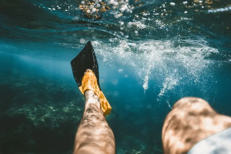 Image description: Person wearing swimming fins in ocean.