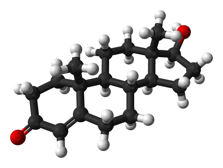 A hormone molecule with four fused carbon rings