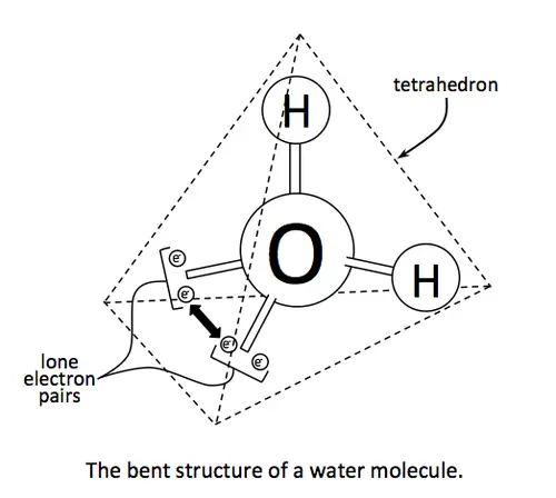 The bent structure of a water molecule.