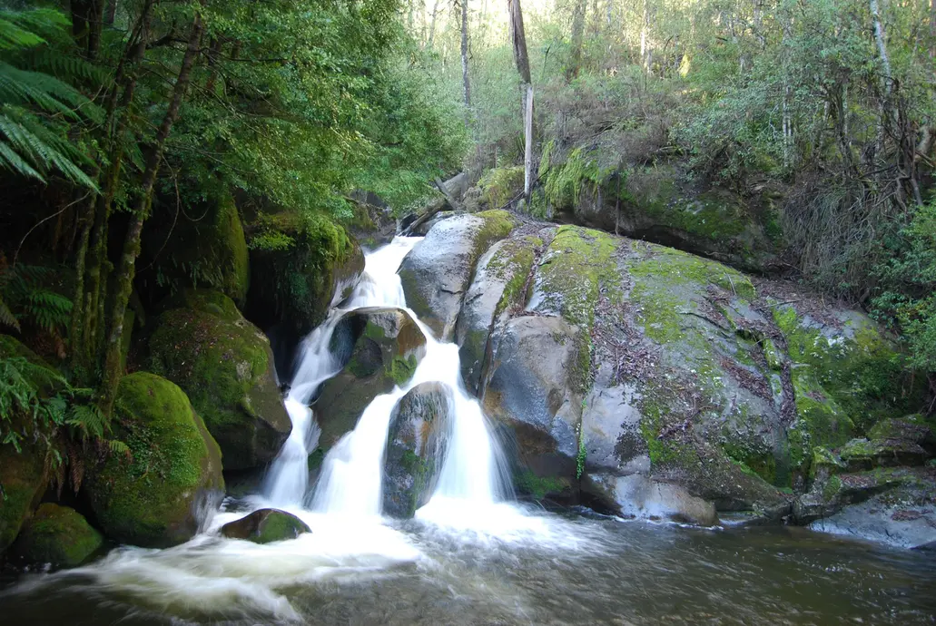 A small waterfall in the forest