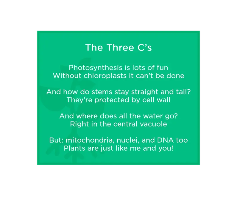 The Three C's: "Photosynthesis is lots of fun, without chloroplasts it can't be done. And how do stems stay straight and tall? They're protected by cell wall. And where does all the water go? Right in the central vacuole. But: mitochondria, nuclei, and DNA too, plants are just like me and you!" 