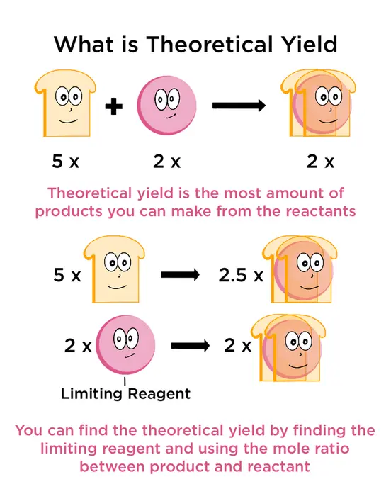 What is a theoretical yield? Theoretical yield is the most amount of products you can make from the reactants. You can find the theoretical yield by finding the limiting reagent and using the mole ratio between product and reactant. 
