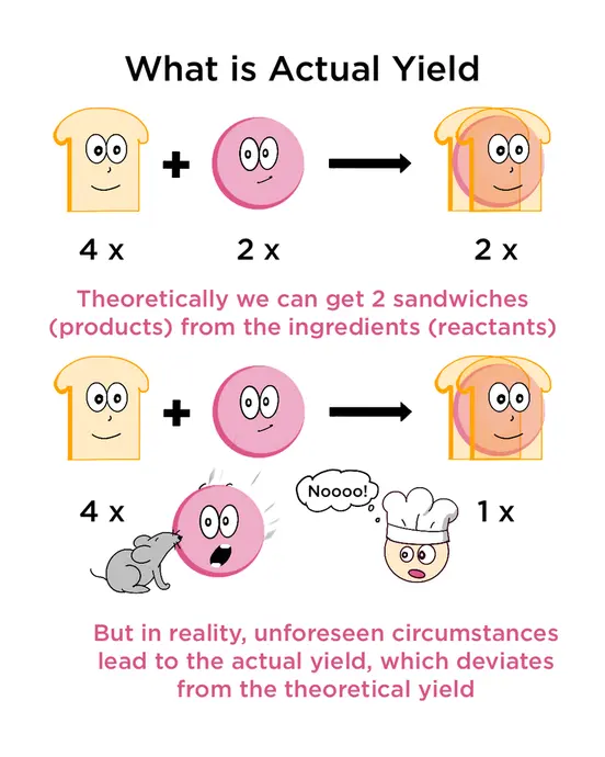 Theoretically, we can get 2 sandwiches (products) from the ingredients (reactants). However, because a mouse steals the meat. The unforeseen circumstances lead to the actual yield, which deviates from the theoretical yield.