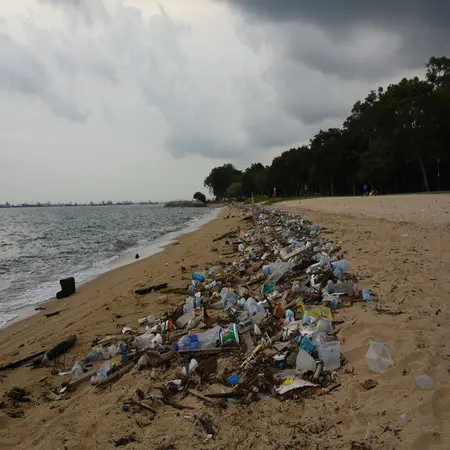The image shows a beach covered in trash.