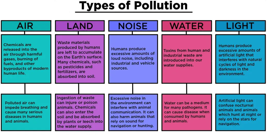 Types of pollution. Air pollution is the chemicals released into the air through harmful gases, burning of fuels, and other byproducts of modern human life. Polluted air can impede breathing and cause many serious diseases in humans and animals. Land waste is the waste materials produced by humans that are left to accumulate on the Earth's surface. Many chemicals, such as pesticides and fertilizers, are absorbed into soil. Ingestion of waste can injure or poison animals. Chemicals can also enter the soil and be absorbed by plants or leech into the water supply. Noise pollution is when humans produce excessive amounts of loud noise, including industrial and vehicle sources. Excessive noise in the environment can interfere with animal communication. It can also harm animals that rely on sound for navigation or hunting. Water pollution is created by toxins from human and industrial waste that are released into our water supply. Water can be a medium for many pathogens. It can cause disease when consumed by humans and animals. Light pollution is created when humans produce excessive amounts of artificial light that interferes with natural cycles of light and darkness in the environment. Artificial light can confuse nocturnal animals and animals which hunt at night or rely on the stars for navigation.