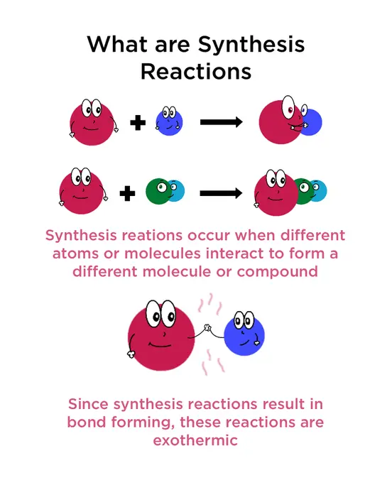 What are synthesis reactions? Synthesis reactions occur when different atoms or molecules interact to form a different molecule or compound. Since synthesis reactions result in bond forming, these reactions are exothermic.