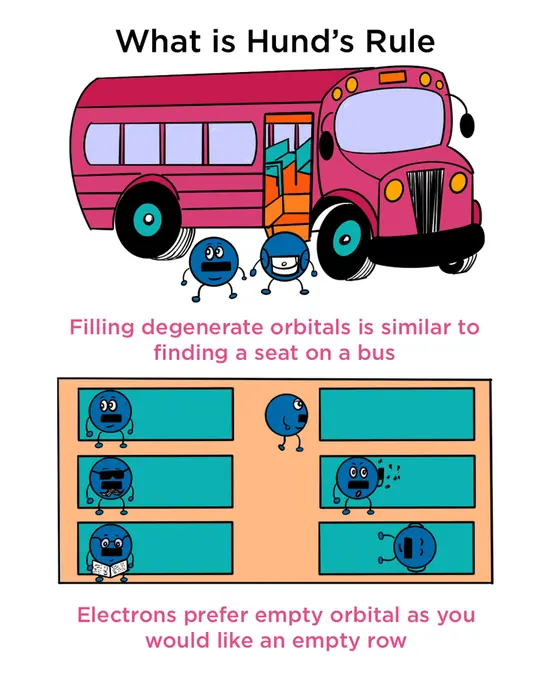What is Hund's rule? Filling degenerate orbitals is similar to finding a seat on a bus. Due to repulsion, electrons prefer an empty orbital as you would like an empty row on a bus.