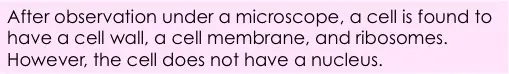 After observation under a microscope, a cell is found to have a cell wall, a cell membrane, and ribosomes. However, the cell does not have a nucleus.
