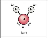 Water molecules are bent.