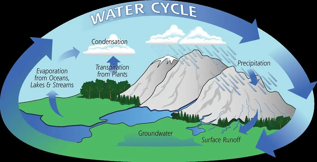 The water cycle illustrated. It starts with evaporation from oceans, lakes, and streams and transpiration from plants. Next is condensation in the atmosphere, and then precipitation. The precipitation enters the groundwater and reenters the oceans, lakes, and streams.