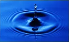 Water is the most important solvent in biology.