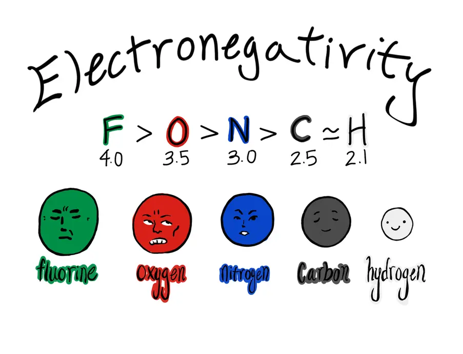 This is a cartoon image illustrating the electronegativity of commonly encountered elements. In order, the relative electronegativties are: 4.0 for fluorine, 3.5 for oxygen, 3.0 for nitrogen, 2.5 for carbon, and 2.1 for hydrogen. Fluorine is the most electronegative element of all in the periodic table. A handy mnemonic to remember this order is the acronym "FONCH", which stands for the elements in order from greatest to least.