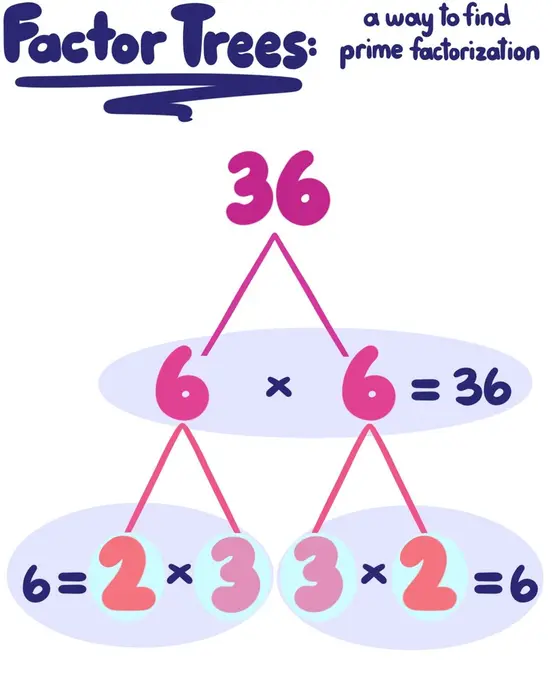 A tree with 36 at the top. It branches out to 6 and 6 (since 6*6=36). Each 6 branches out to 2 and 3 (since 2*3=6). the 2s and 3s at the bottom are highlighted.