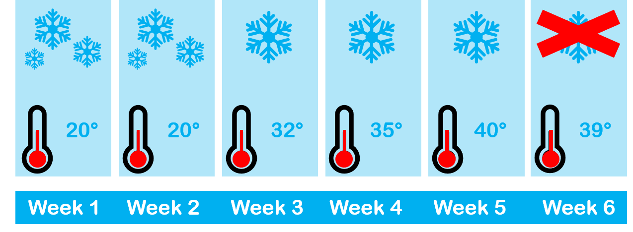 Week 1 and 1 have 3 snowflakes. Week 3, 4, and 5 have one snowflakes.  Week 6 has no snowflakes. 